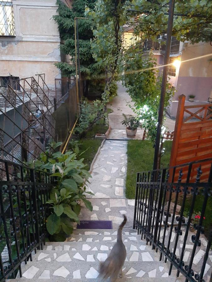 Piccola Italia Casa Racovita Cluj-Napoca Buitenkant foto