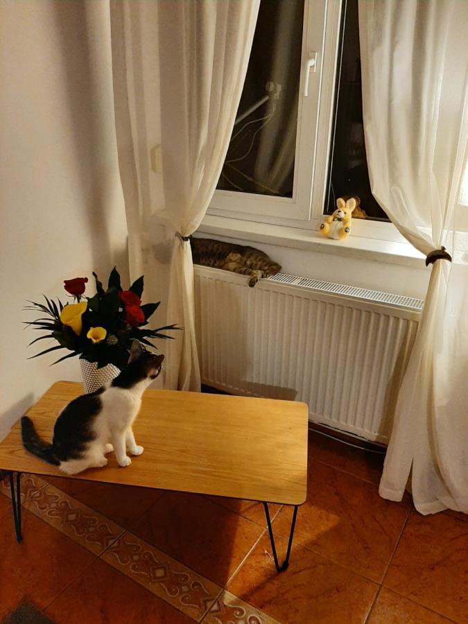 Piccola Italia Casa Racovita Cluj-Napoca Buitenkant foto