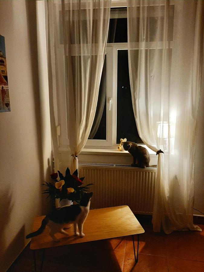 Piccola Italia Casa Racovita Cluj-Napoca Buitenkant foto